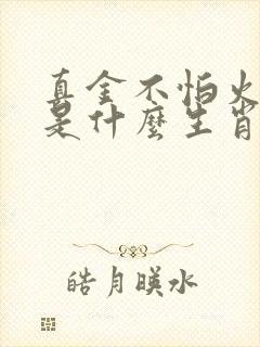 真金不怕火来炼是什么生肖