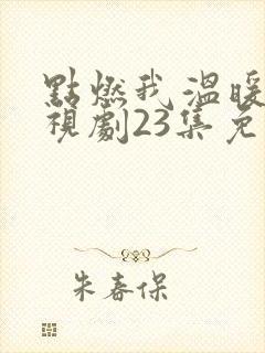 点燃我温暖你电视剧23集免费观看