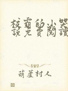 校霸的小哭包小说免费阅读在线