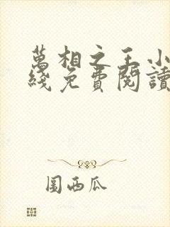 万相之王小说在线免费阅读完整版