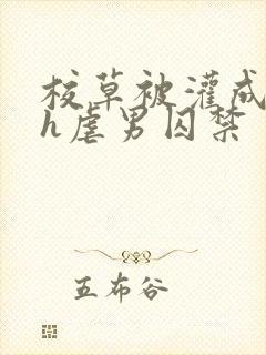 校草被灌成禁脔h虐男囚禁