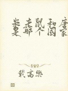 米老鼠和唐老鸭是哪个国家的动画片