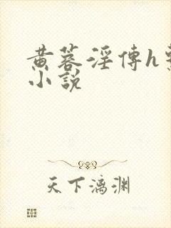 黄蓉淫传h系列小说