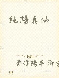 纯阳真仙