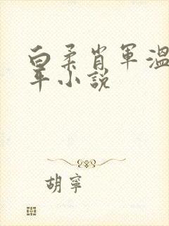 白柔肖军温婉王平小说