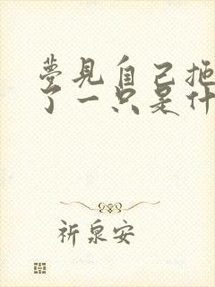 梦见自己拖鞋丢了一只是什么意思