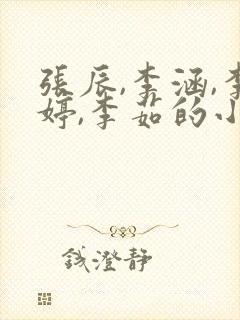 张辰,李涵,李婷,李茹的小说,温柔密码封面