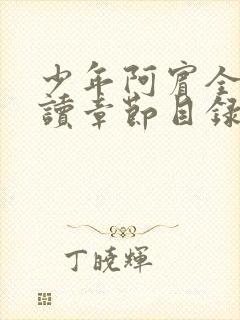 少年阿宾全文阅读章节目录