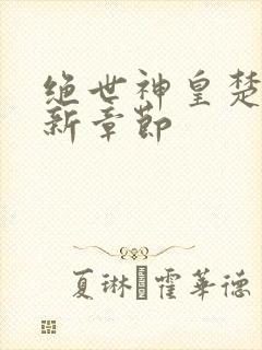 绝世神皇楚枫最新章节封面