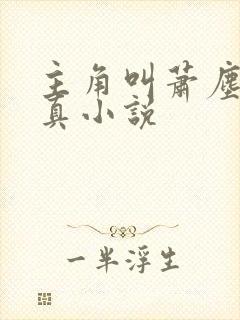 主角叫萧尘的修真小说