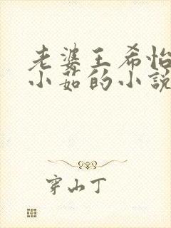 老婆王希怡和宋小茹的小说封面