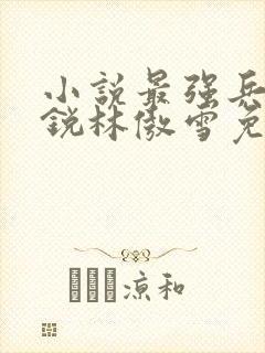 小说最强兵王苏锐林傲雪免费阅读封面