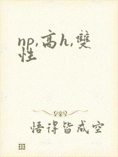 np,高h,双性