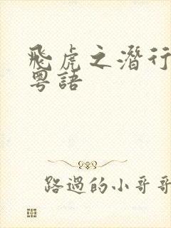 飞虎之潜行极战粤语封面