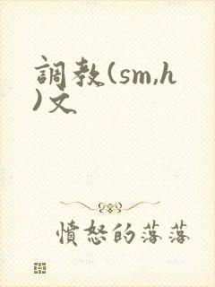 调教(sm,h)文