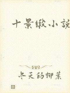 十景缎小说