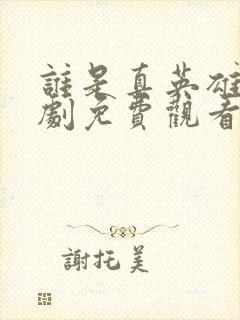 谁是真英雄电视剧免费观看封面