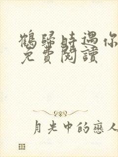 鹤归时遇你全文免费阅读