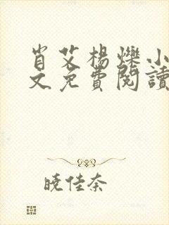 肖艾杨烁小说全文免费阅读笔趣阁