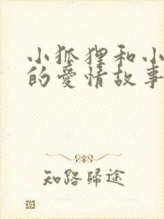 小狐狸和小兔子的爱情故事