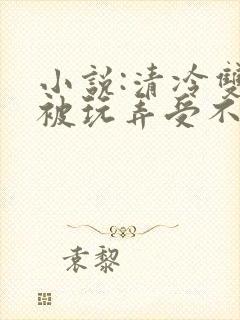 小说:清冷双性被玩弄受不了了不断高潮封面