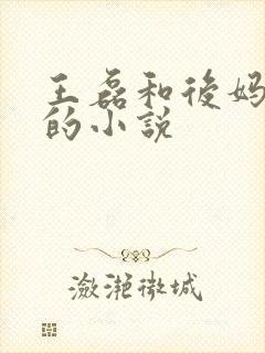 王磊和后妈杨芬的小说封面