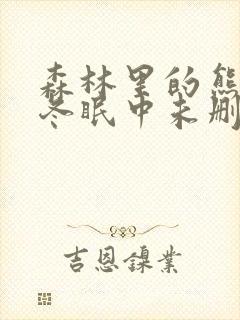 森林里的熊先生冬眠中未删版