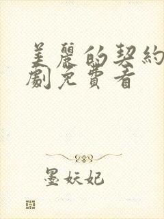 美丽的契约电视剧免费看