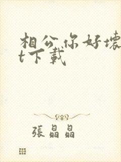 相公你好坏txt下载