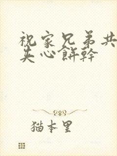 祝家兄弟共享后夹心饼干封面