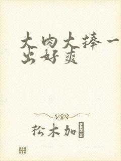 大肉大捧一进一出好爽