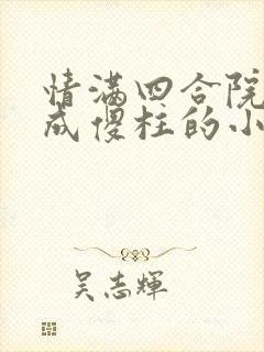 情满四合院穿越成傻柱的小说