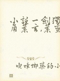 小说一剑独尊主角叶玄,叶灵