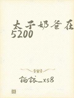 太子奶爸在花都5200