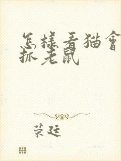 怎样看猫会不会抓老鼠