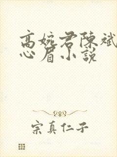 高婉君陈斌和赵心眉小说