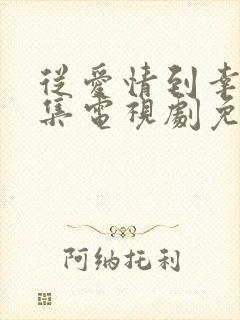从爱情到幸福全集电视剧免费观看