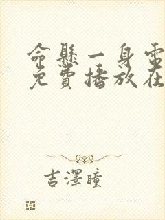 命悬一身电视剧免费播放在线观看封面