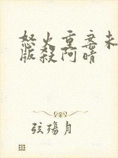 怒火重案未删减版杀阿晴封面