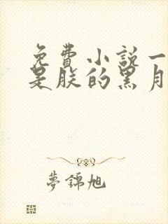 免费小说一皇后是朕的黑月光