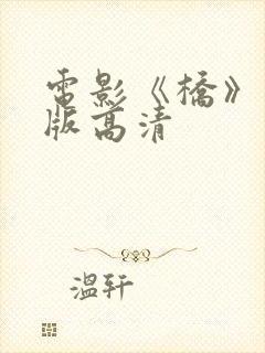 电影《桥》完整版高清封面