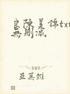 良陈美锦txt无删减