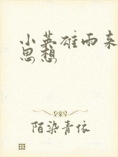 小英雄雨来中心思想封面