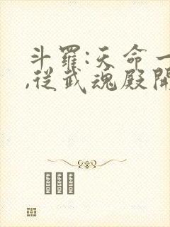 斗罗:天命一族,从武魂殿开始