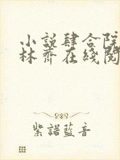 小说肆合院猎手林齐在线阅读