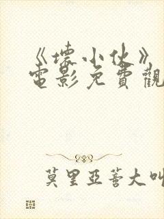 《坏小伙》美国电影免费观看