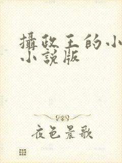 摄政王的小闲妻小说版