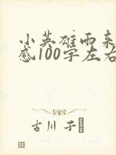 小英雄雨来读后感100字左右