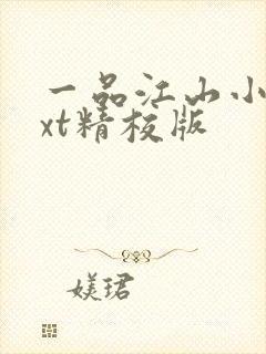 一品江山小说txt精校版