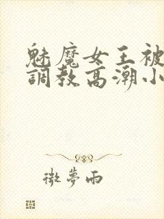 魅魔女王被捆绑调教高潮小说封面